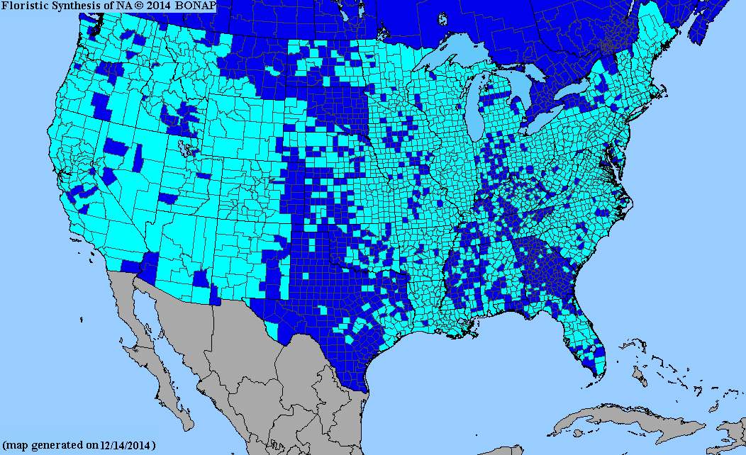 County distribution map of Trifolium repens - White Clover